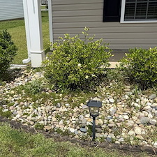 Clean-Up-Project-Conway-SC 11